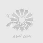 داود محمدیات